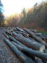 img-20241106-wa0023.jpg