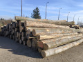 img-20241107-wa0025.jpg