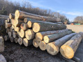 img-20241107-wa0026.jpg