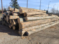 img-20241107-wa0027.jpg