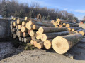 img-20241107-wa0028.jpg