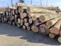 img-20241107-wa0029.jpg