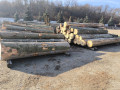img-20241107-wa0030.jpg