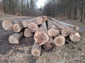 img-20250401-wa0038.jpg