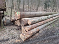 img-20250401-wa0039.jpg