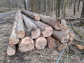 img-20250401-wa0040.jpg