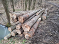 img-20250401-wa0041.jpg