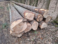 img-20250401-wa0042.jpg