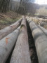 img-20250402-wa0018.jpg