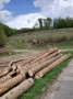 img-20250424-wa0003.jpg