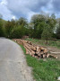 img-20250424-wa0005.jpg
