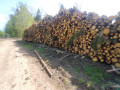 img-20250505-wa0001.jpg