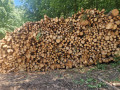 img-20250702-wa0001.jpg