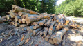 img-20250702-wa0006.jpg