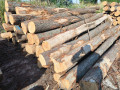 img-20260722-wa0010.jpg