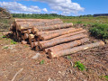 img-20260724-wa0018.jpg