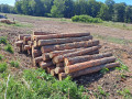 img-20260724-wa0016.jpg