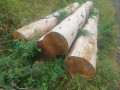 img-20260724-wa0027.jpg