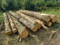 img-20260724-wa0016.jpg