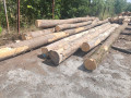 img-20260728-wa0002.jpg