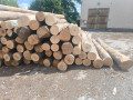 img-20260728-wa0004.jpg