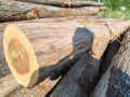 img-20260722-wa0008.jpg