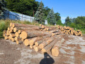 img-20260722-wa0006.jpg