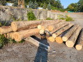 img-20260804-wa0003.jpg