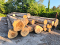 img-20260804-wa0001.jpg