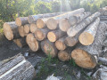 img-20260804-wa0008.jpg