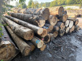 img-20260804-wa0009.jpg