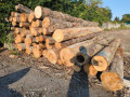 img-20260804-wa0006.jpg