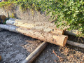 img-20260804-wa0005.jpg