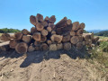 img-20260803-wa0010.jpg