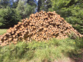 img-20260803-wa0011.jpg