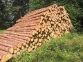 img-20260803-wa0012.jpg