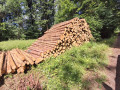 img-20260803-wa0013.jpg