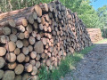 img-20260803-wa0009.jpg