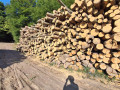 img-20260805-wa0001.jpg