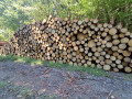 img-20260805-wa0003.jpg