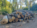 img-20260805-wa0011.jpg