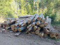 img-20260805-wa0012.jpg