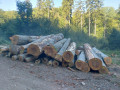 img-20260805-wa0010.jpg