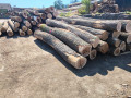 img-20260805-wa0000.jpg