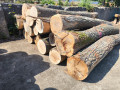 img-20260805-wa0002.jpg