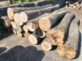 img-20260805-wa0001.jpg