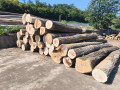 img-20260805-wa0004.jpg