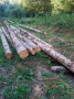 img-20260807-wa0014.jpg