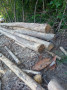 img-20260807-wa0031.jpg
