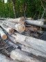 img-20260807-wa0030.jpg